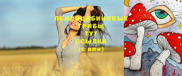 спайс Горняк