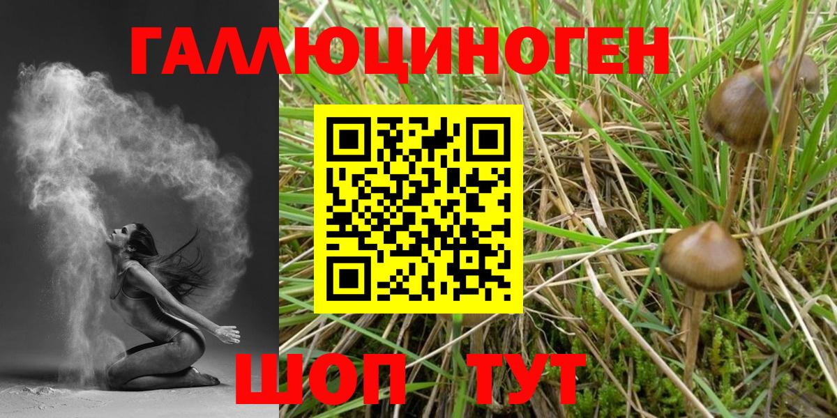 Егорьевск  Псилоцибиновые грибы мицелий  Вход с VPN 