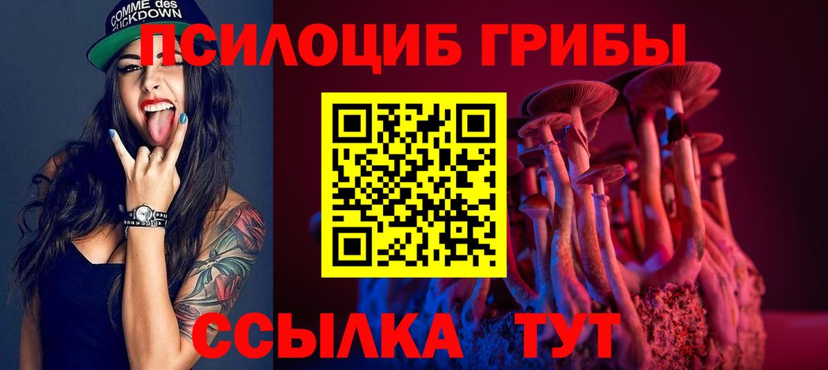 Псилоцибиновые грибы мухоморы Егорьевск
